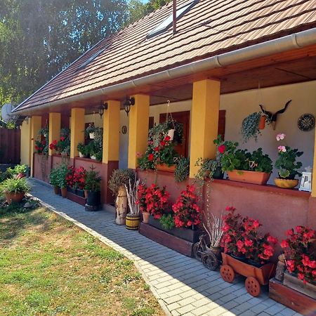 Tulipan Haz Apartment Bodony Екстериор снимка