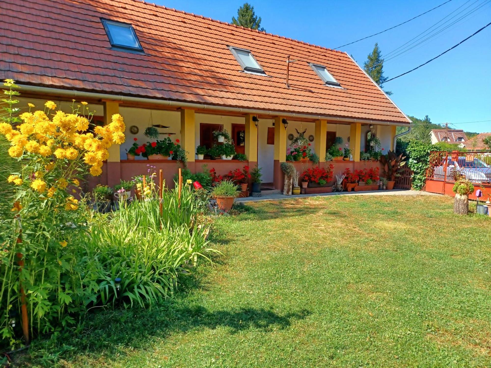 Tulipan Haz Apartment Bodony Екстериор снимка